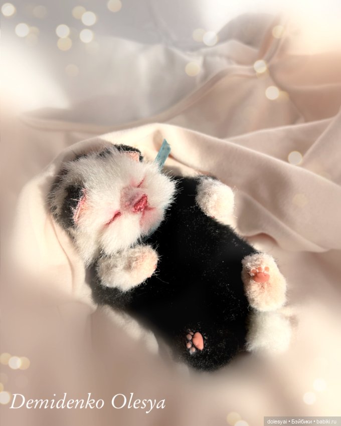 Тедди котик — Авторские мишки Тедди и друзья: фото