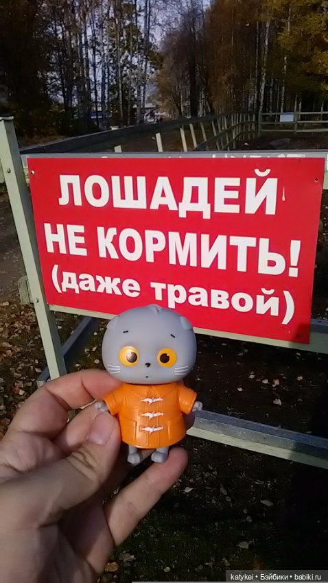 Как я листья покупала — Интересные игрушки и фигурки (разное): редкие (фото 7)