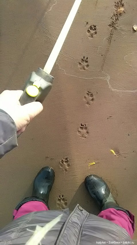 Как я листья покупала — Интересные игрушки и фигурки (разное): редкие (фото 6)