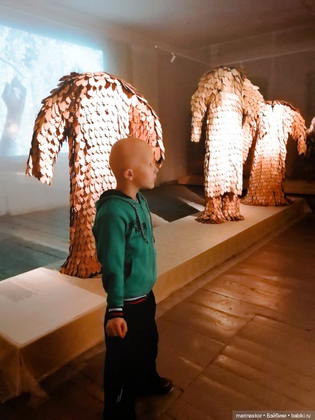 ДИВОвание. Открытие Севера