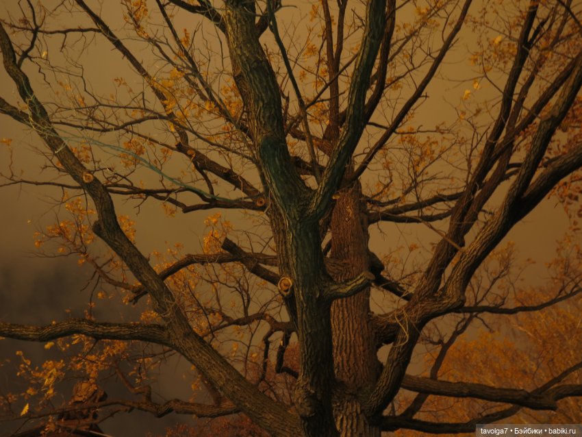 Madelin от Eden на ВДНХ — Игровые куклы разных производителей (Разное): редкие бренды