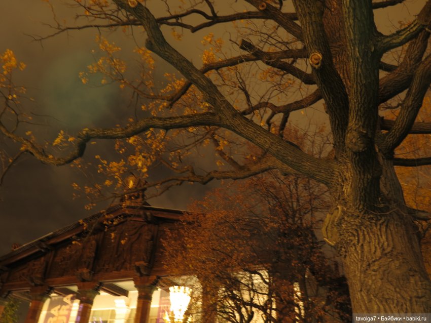 Madelin от Eden на ВДНХ — Игровые куклы разных производителей (Разное): редкие бренды