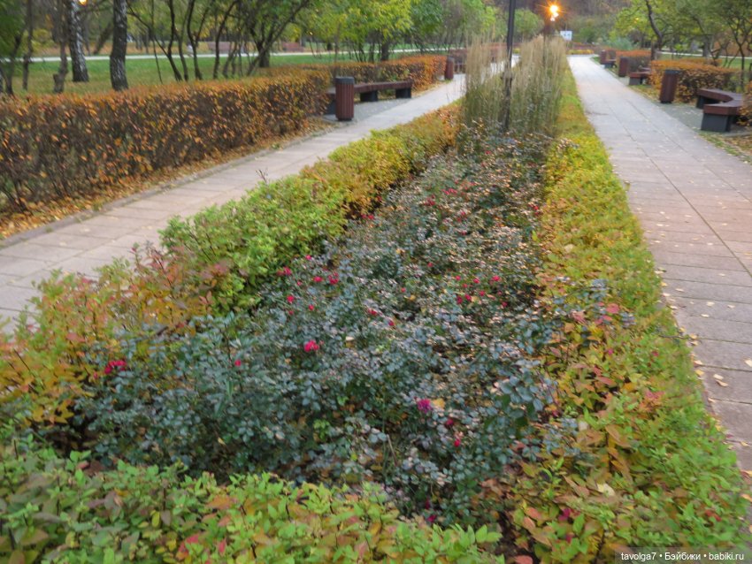 Madelin от Eden на ВДНХ — Игровые куклы разных производителей (Разное): редкие бренды