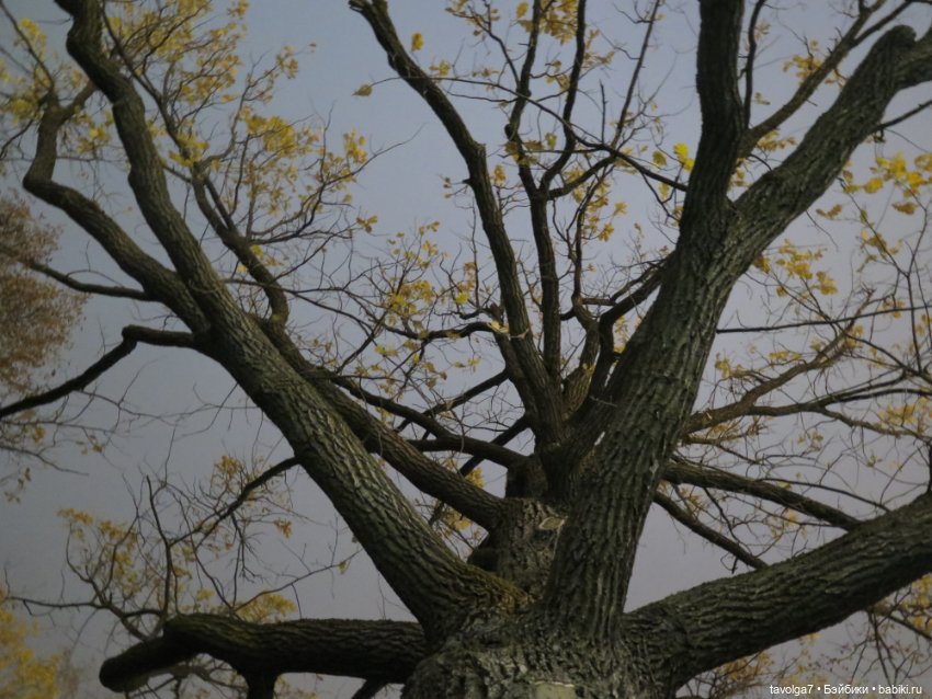 Madelin от Eden на ВДНХ — Игровые куклы разных производителей (Разное): редкие бренды