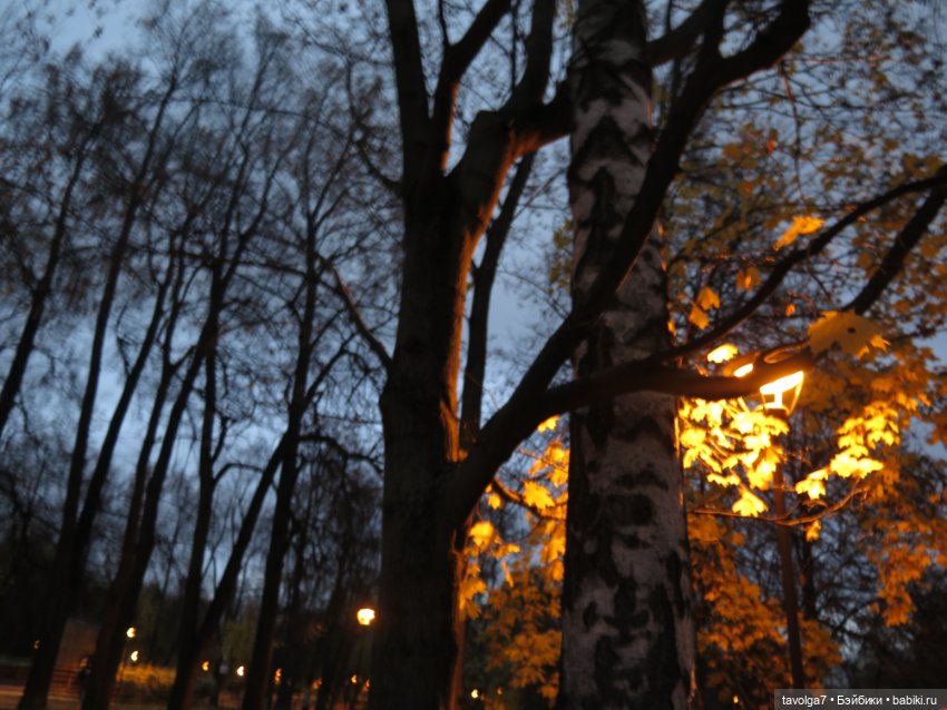 Madelin от Eden на ВДНХ — Игровые куклы разных производителей (Разное): редкие бренды