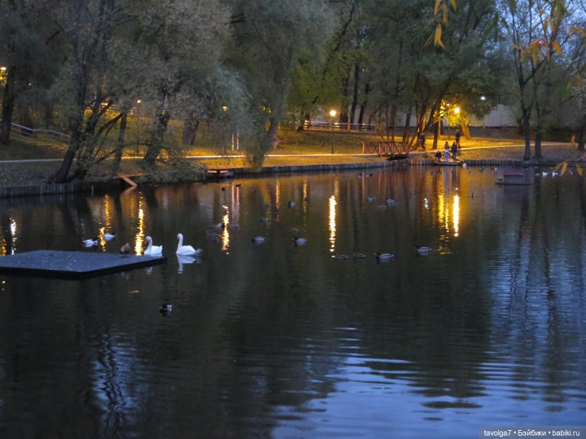 Madelin от Eden на ВДНХ — Игровые куклы разных производителей (Разное): редкие бренды