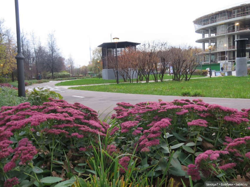 Madelin от Eden на ВДНХ — Игровые куклы разных производителей (Разное): редкие бренды (фото 3)