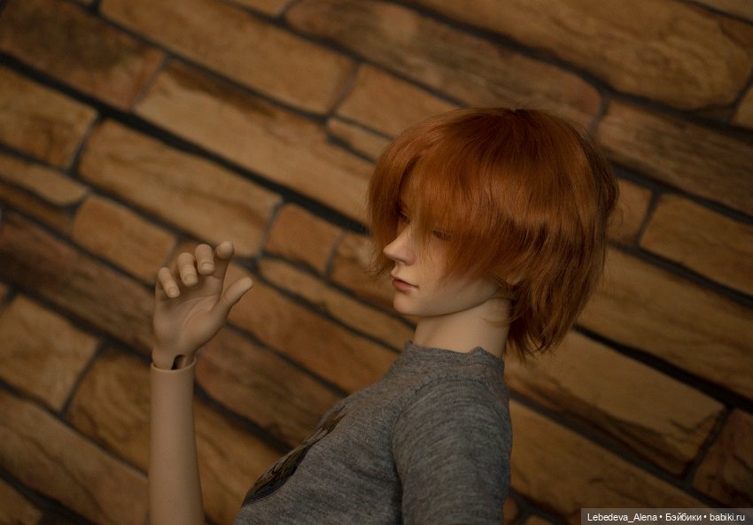 Мистер Лис — Куклы Dollshe Craft (Доллше): BJD (БЖД)