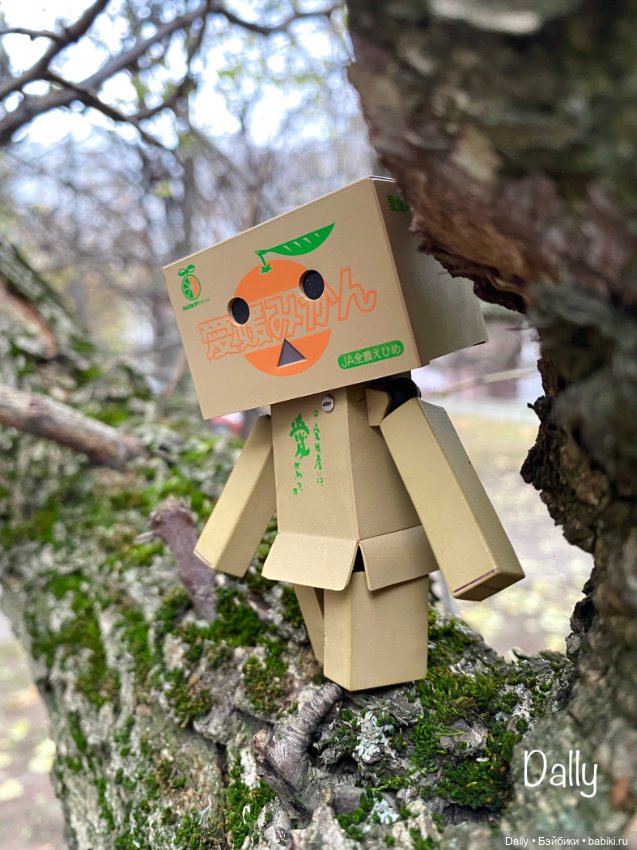 С коробочкой за коробочками (фото 3)