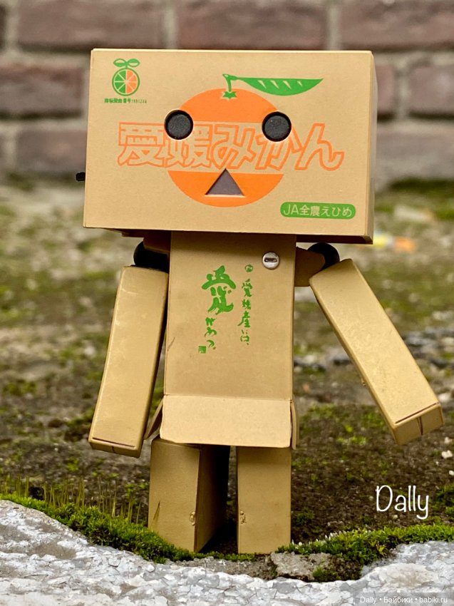 С коробочкой за коробочками (фото 4)