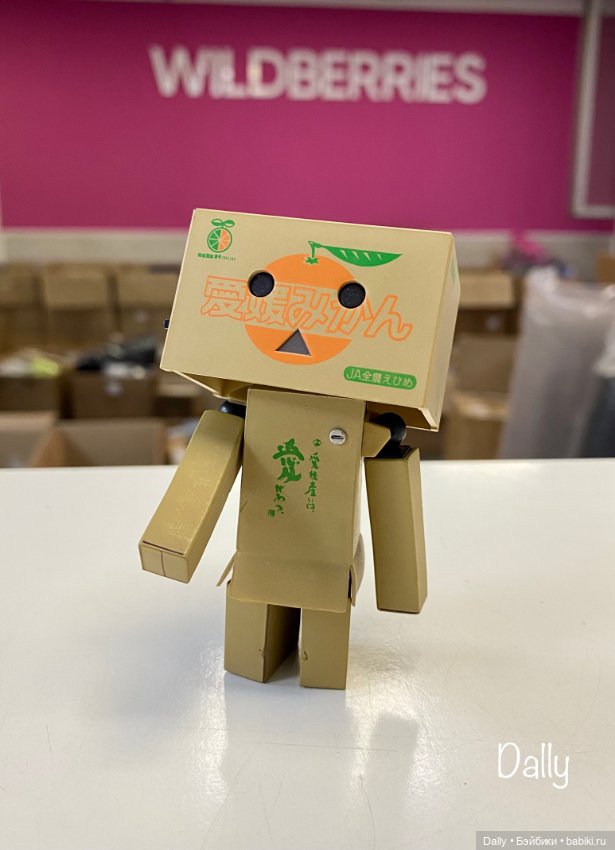 С коробочкой за коробочками (фото 5)