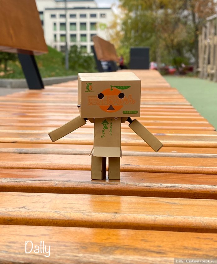 С коробочкой за коробочками (фото 2)