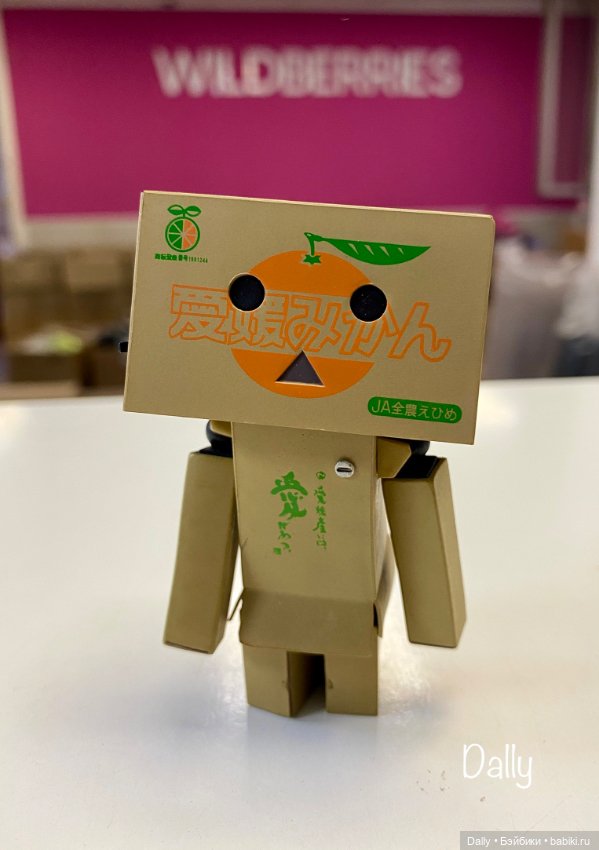 С коробочкой за коробочками (фото 6)