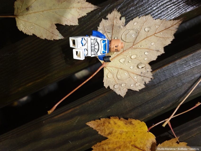 Монст в ночи — Игровые куклы разных производителей (Разное): редкие бренды (фото 3)