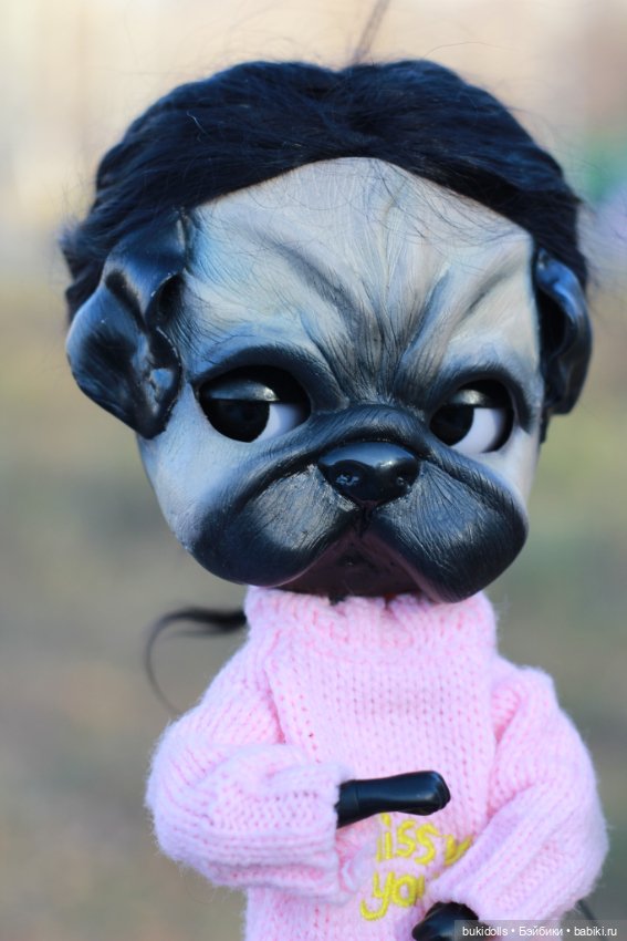 Любителям мопсиков посвящается🐾 ( Осторожно, много букв и фото) (фото 4)