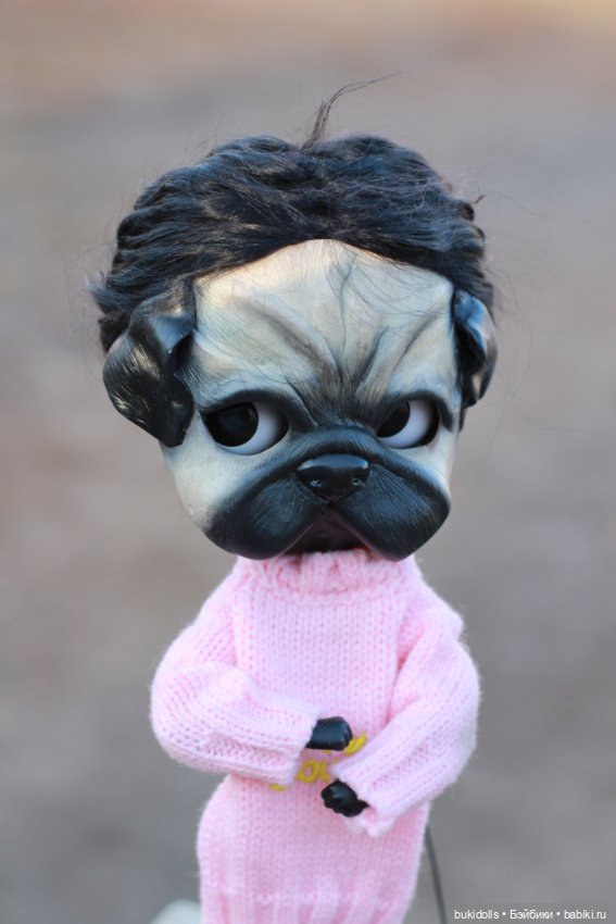 Любителям мопсиков посвящается🐾 ( Осторожно, много букв и фото) (фото 5)