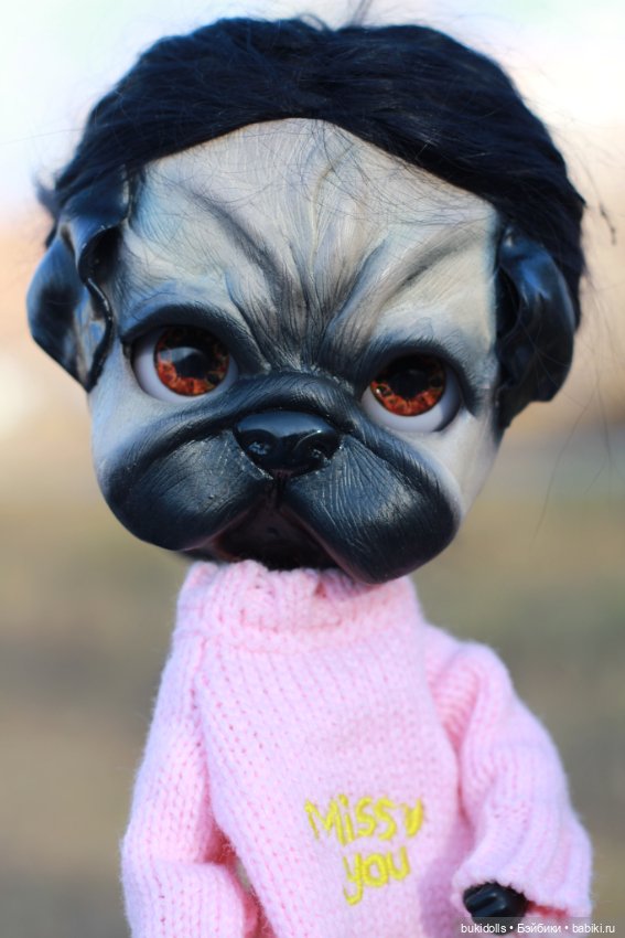 Любителям мопсиков посвящается🐾 ( Осторожно, много букв и фото) (фото 2)