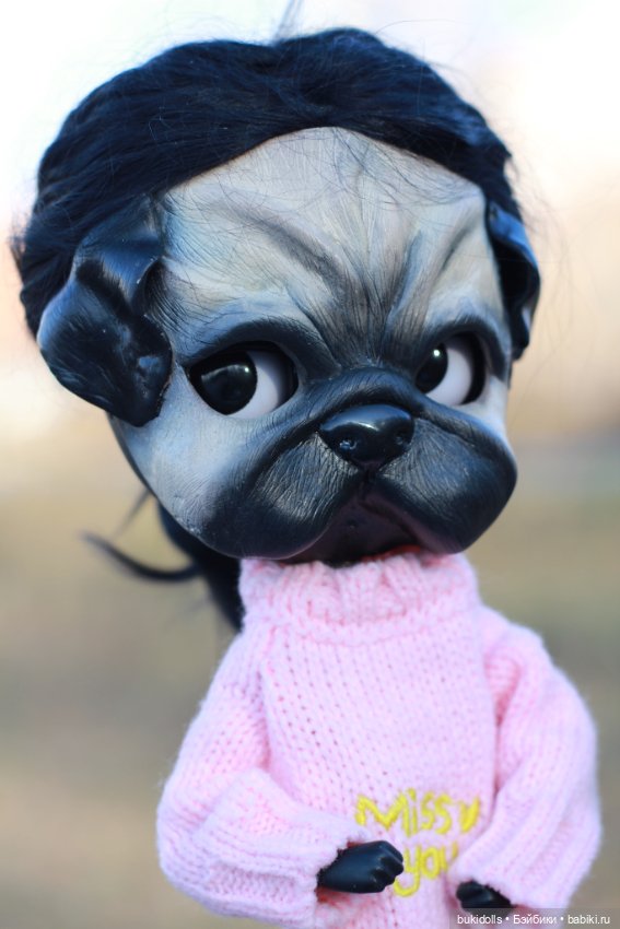 Любителям мопсиков посвящается🐾 ( Осторожно, много букв и фото) (фото 3)