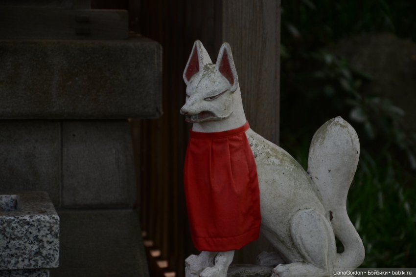 Мы вернулись спустя миллион лет с фотками (фото 9)