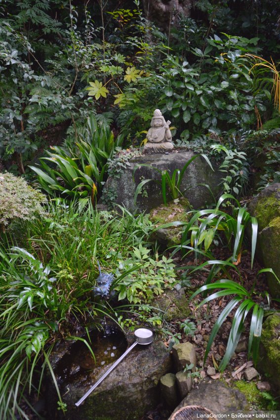 Мы вернулись спустя миллион лет с фотками (фото 10)