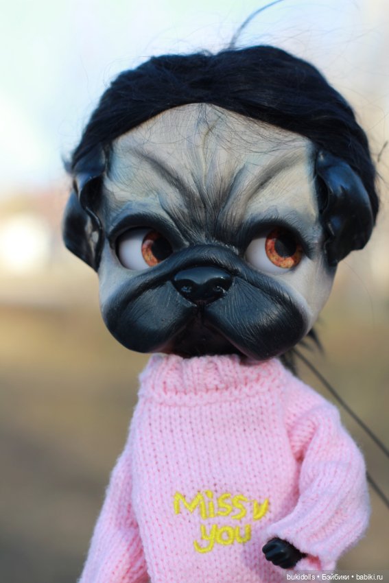 Любителям мопсиков посвящается🐾 ( Осторожно, много букв и фото)