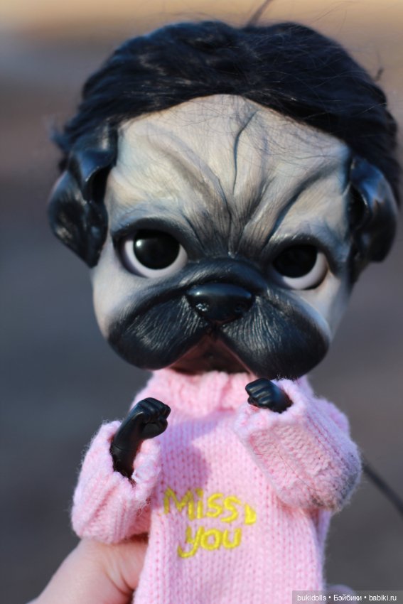 Любителям мопсиков посвящается🐾 ( Осторожно, много букв и фото) (фото 6)