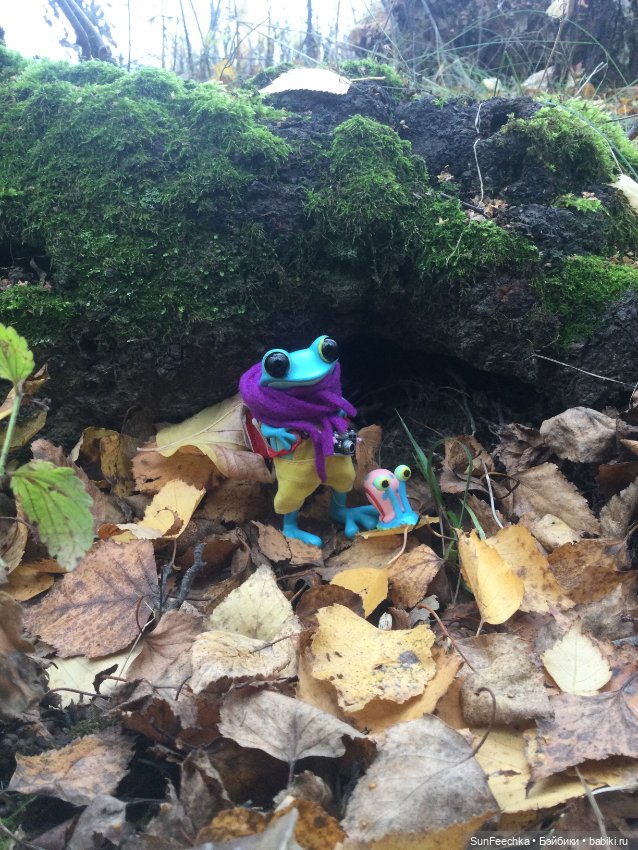 Apo frog Маркус. Погуляли (фото 5)