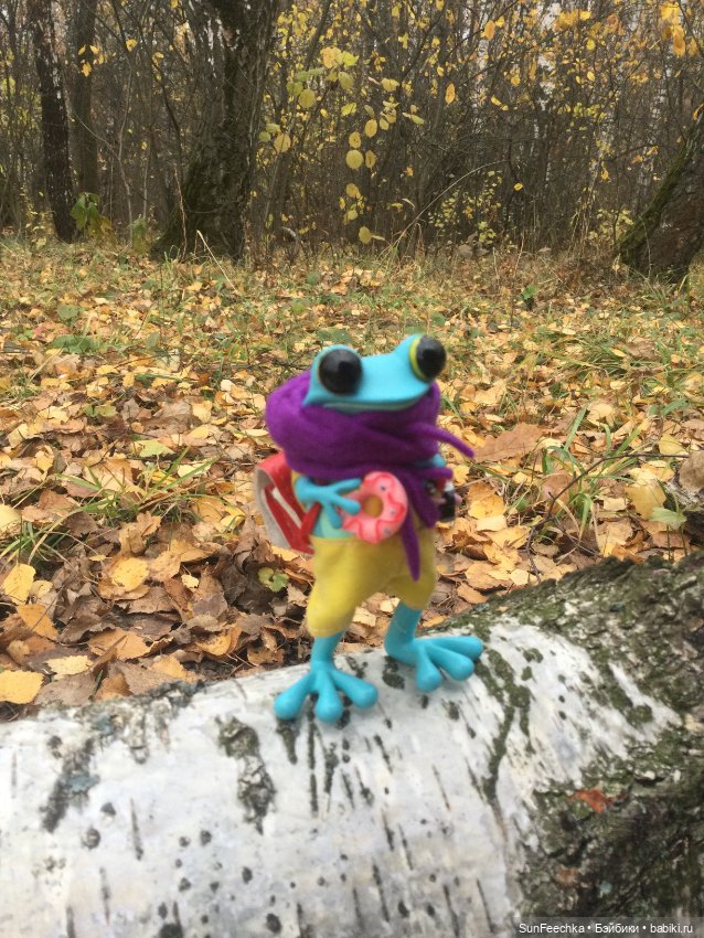 Apo frog Маркус. Погуляли (фото 6)