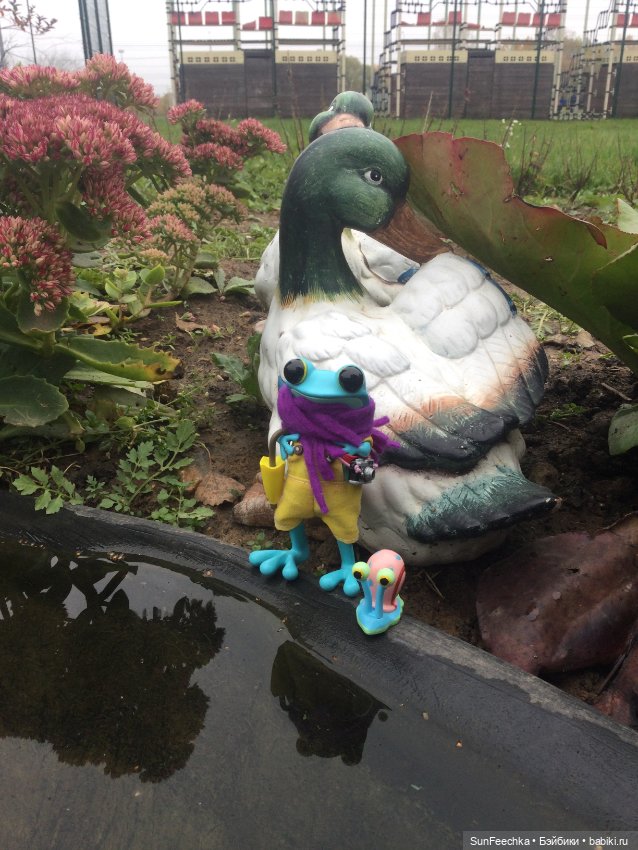 Apo frog Маркус. Погуляли (фото 8)