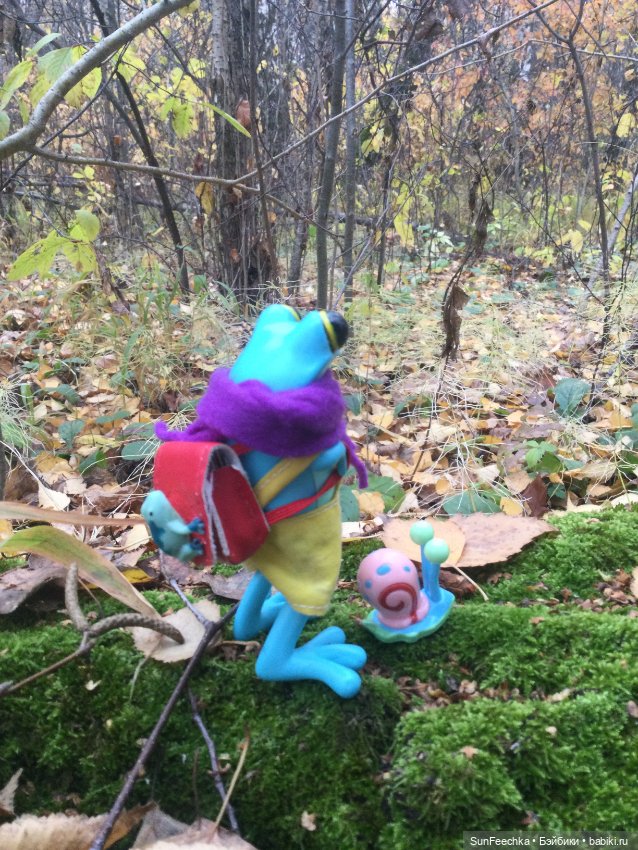 Apo frog Маркус. Погуляли (фото 2)