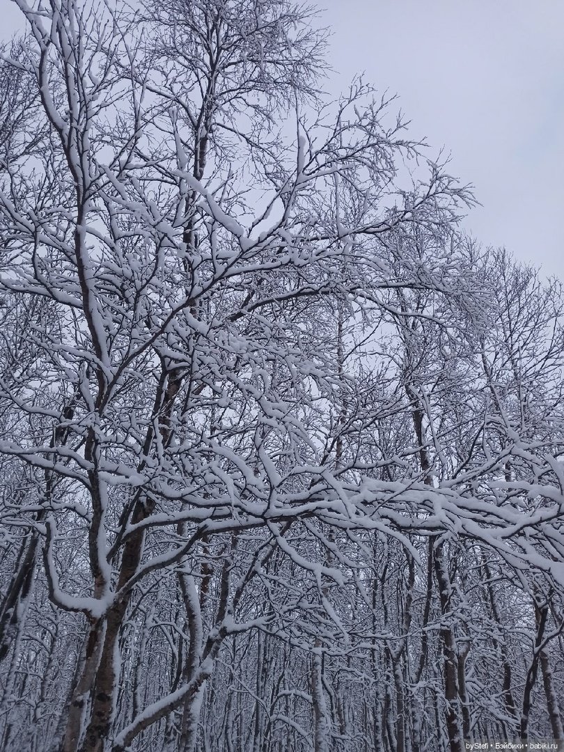 Прогуляемся? Заполярье сегодня г. Кировск, Мурманская область (фото 10)