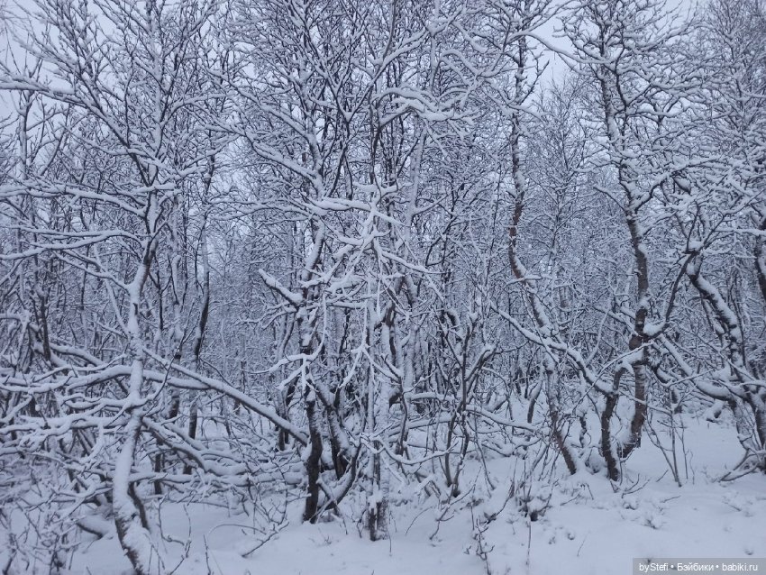 Прогуляемся? Заполярье сегодня г. Кировск, Мурманская область