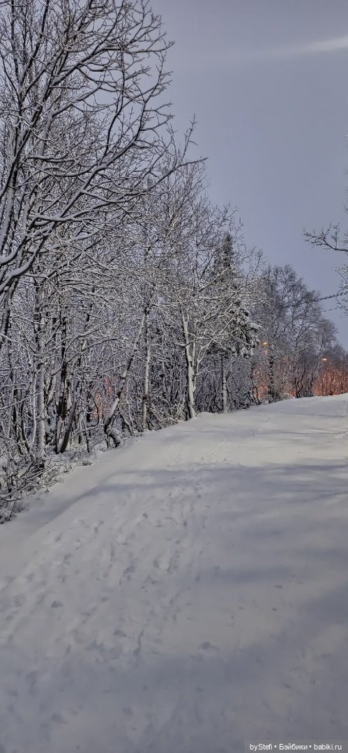 Прогуляемся? Заполярье сегодня г. Кировск, Мурманская область