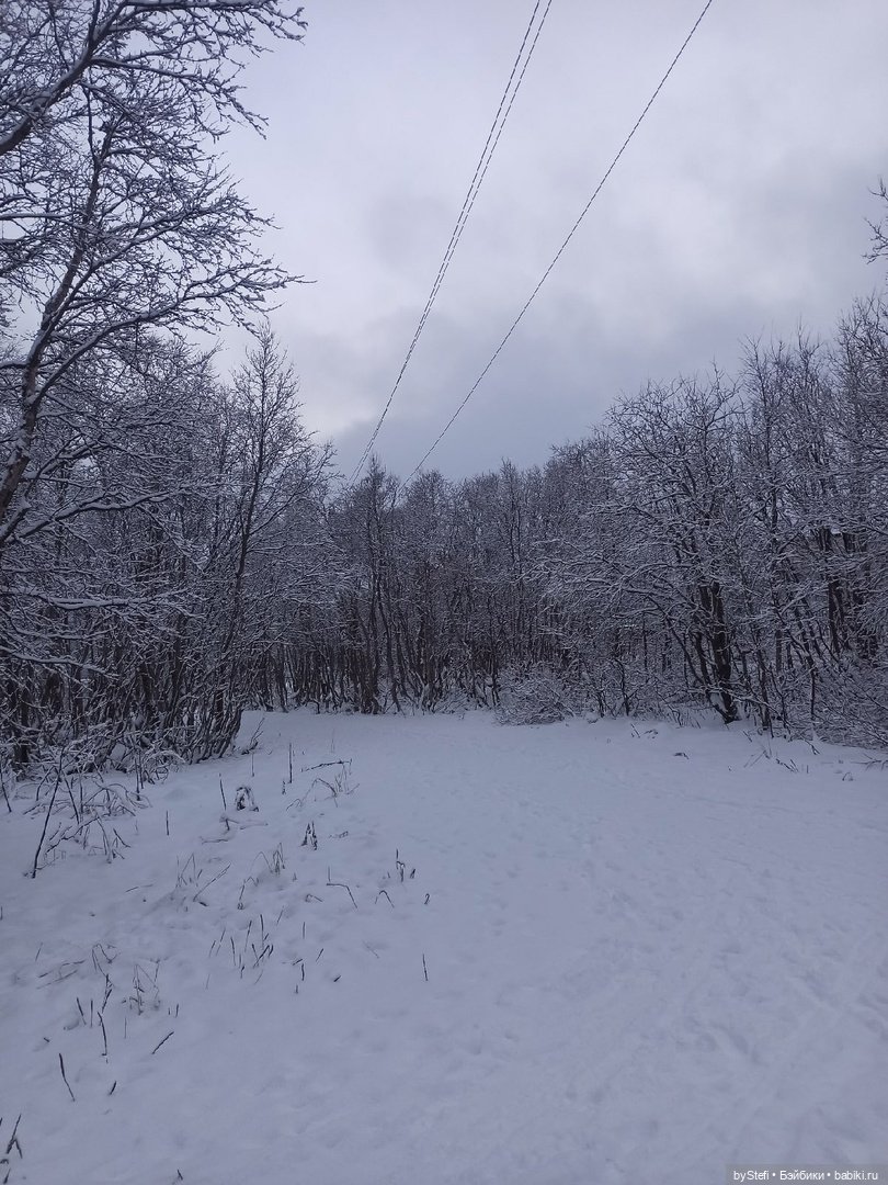 Прогуляемся? Заполярье сегодня г. Кировск, Мурманская область (фото 5)