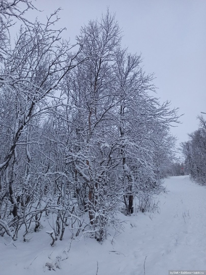 Прогуляемся? Заполярье сегодня г. Кировск, Мурманская область