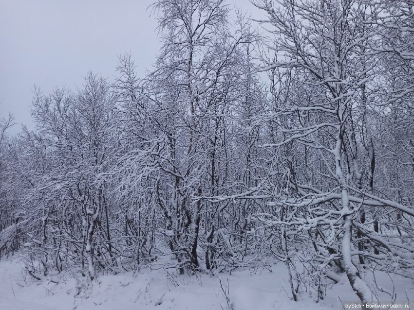 Прогуляемся? Заполярье сегодня г. Кировск, Мурманская область