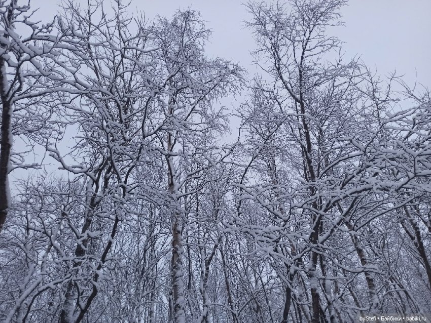 Прогуляемся? Заполярье сегодня г. Кировск, Мурманская область