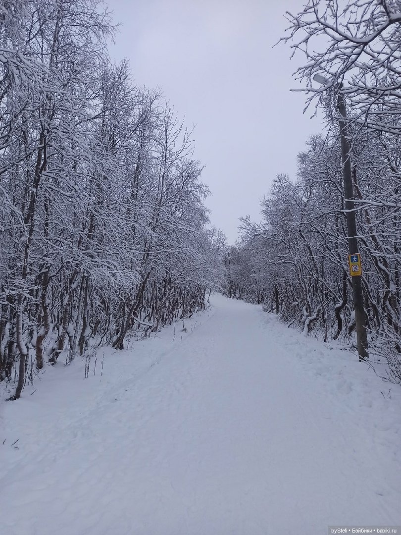 Прогуляемся? Заполярье сегодня г. Кировск, Мурманская область (фото 7)