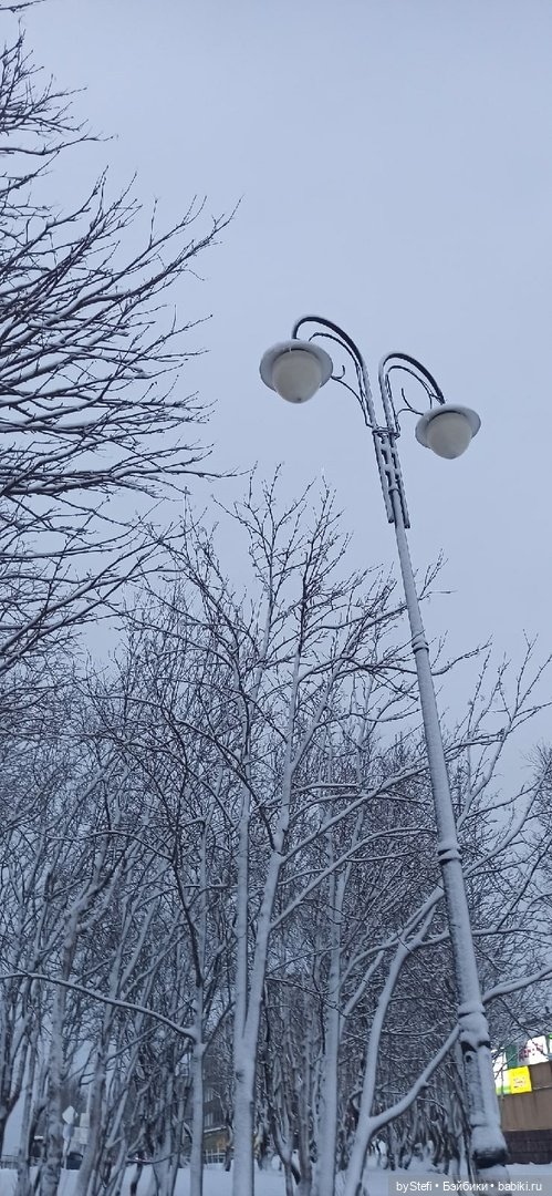 Прогуляемся? Заполярье сегодня г. Кировск, Мурманская область (фото 4)