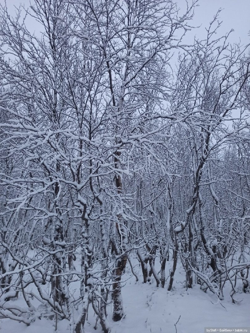 Прогуляемся? Заполярье сегодня г. Кировск, Мурманская область