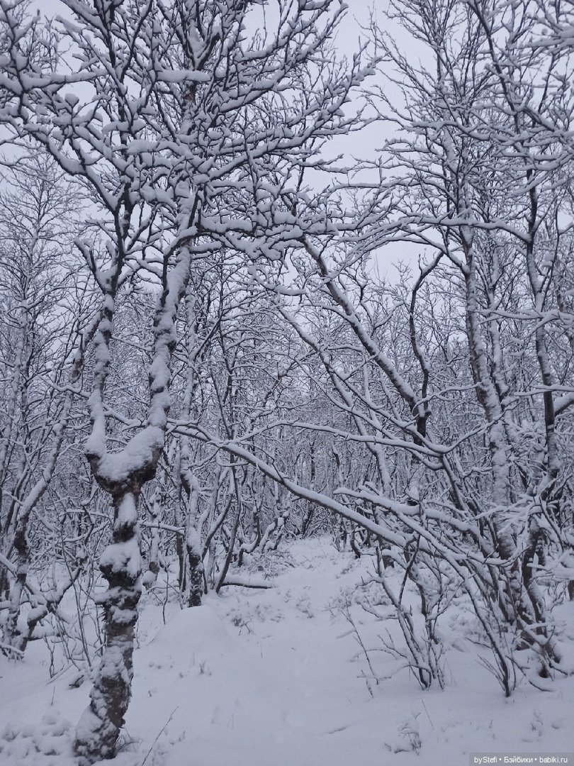 Прогуляемся? Заполярье сегодня г. Кировск, Мурманская область