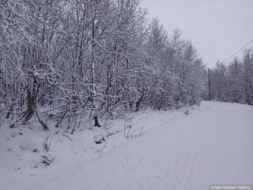 Прогуляемся? Заполярье сегодня г. Кировск, Мурманская область