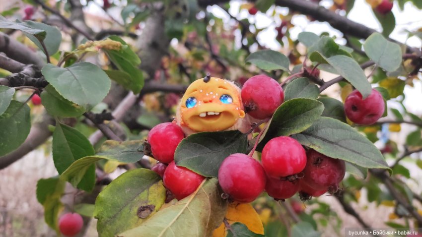 Шабунята — Игрушки в смешанной технике (мех и глина): Арт (фото 10)