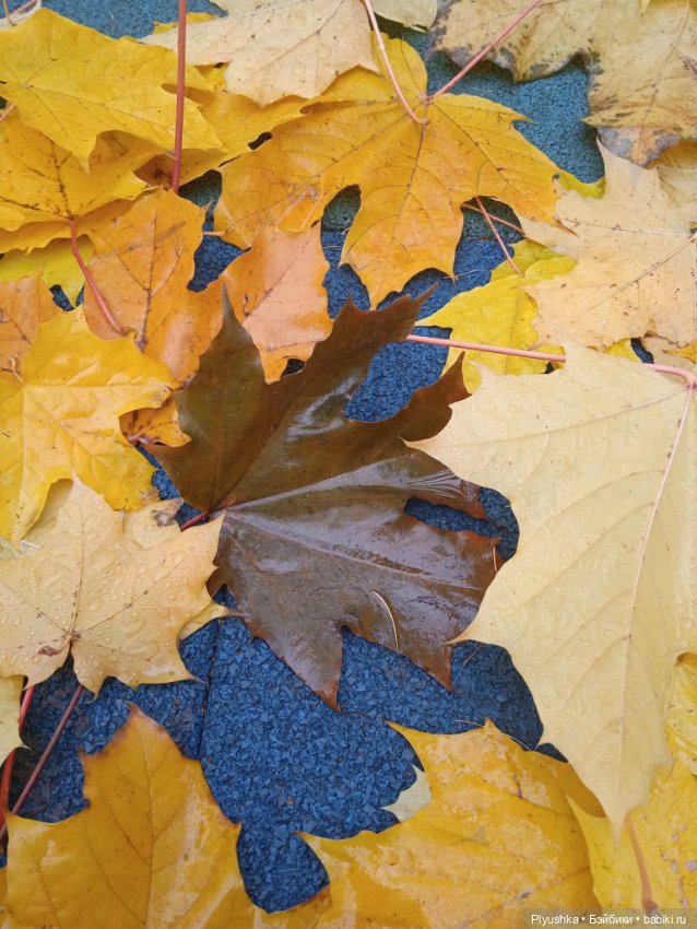 Осенняя меланхолия — Разные шарнирные куклы (не БЖД): редкие (фото 2)