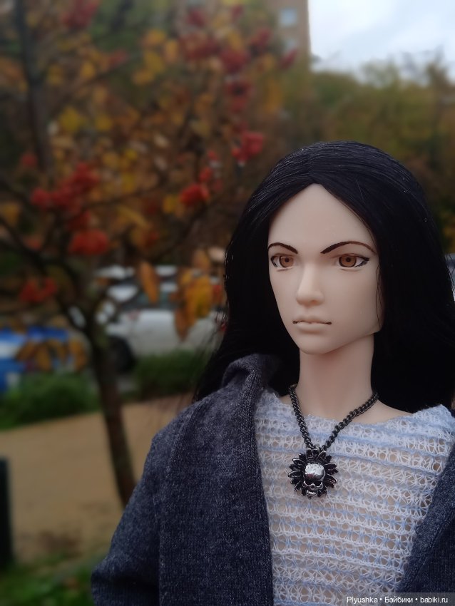 Осенняя меланхолия — Разные шарнирные куклы (не БЖД): редкие