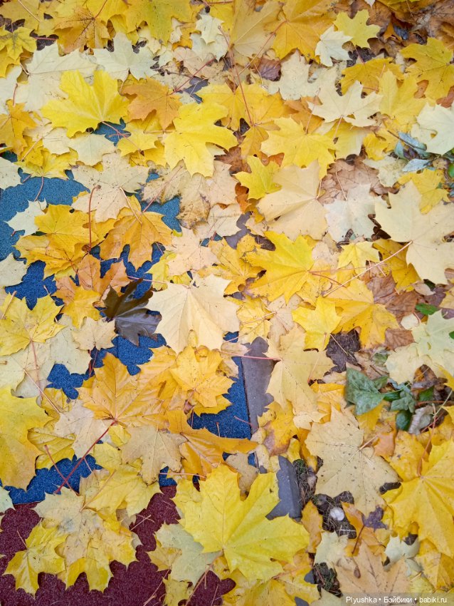 Осенняя меланхолия — Разные шарнирные куклы (не БЖД): редкие