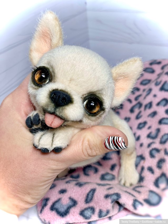 Happy 🐶 — Реалистичные игрушки и звери (Натюр): собаки (фото 6)