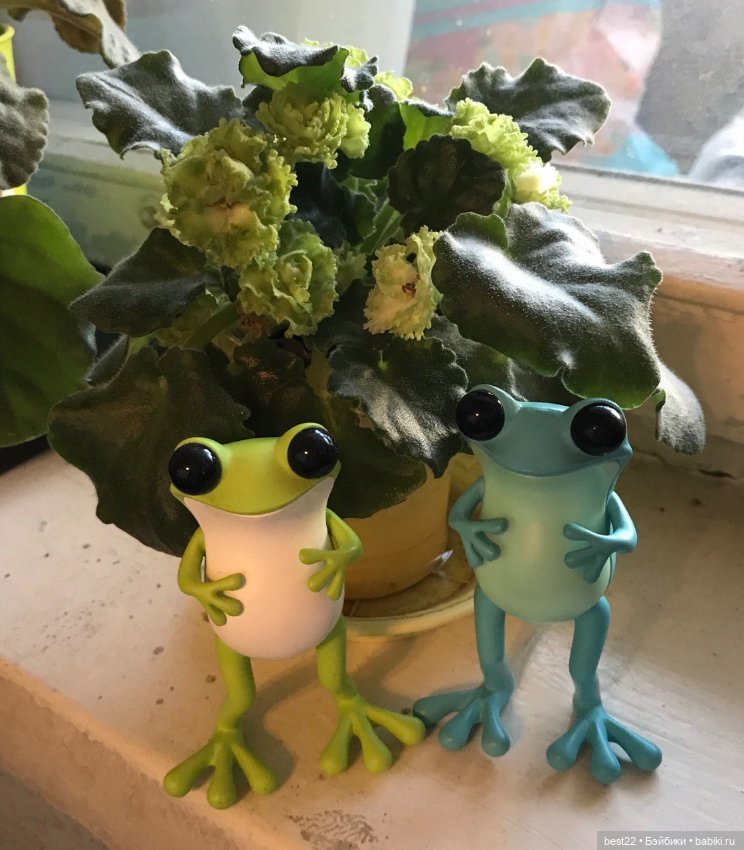 Лягушки Apo Frog от Twelvedot