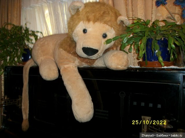 Калейдоскоп кукол — Домашние коллекции кукол: фото собраний