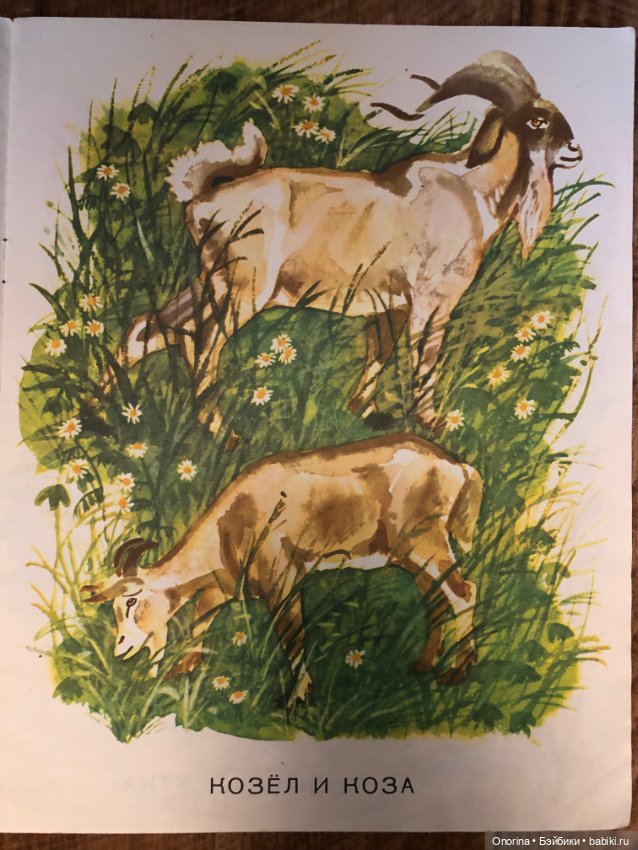 Альбомы для раскрашивания 80-х годов (ч.2) (фото 6)